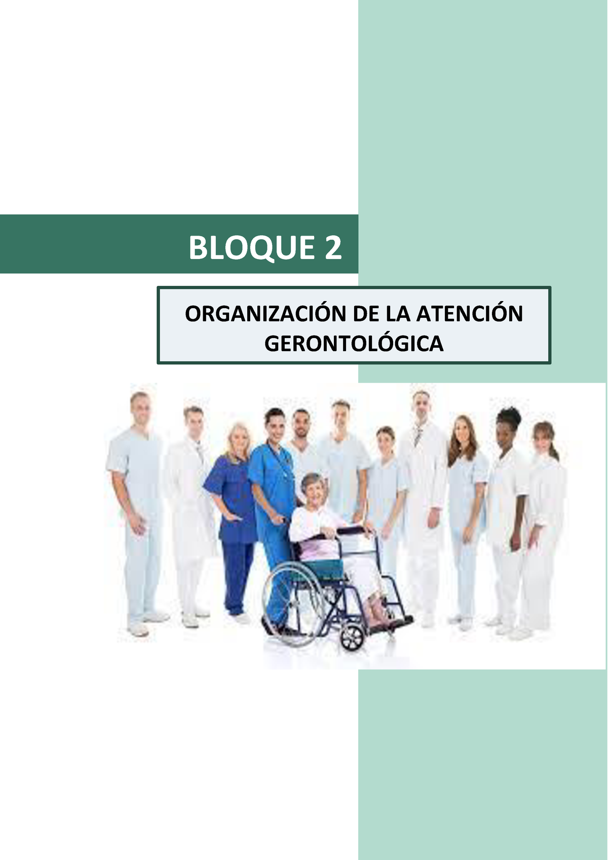 Bloque 2 Geronto - BLOQUE 2 ORGANIZACI”N DE LA ATENCI”N GERONTOL”GICA 2 ...