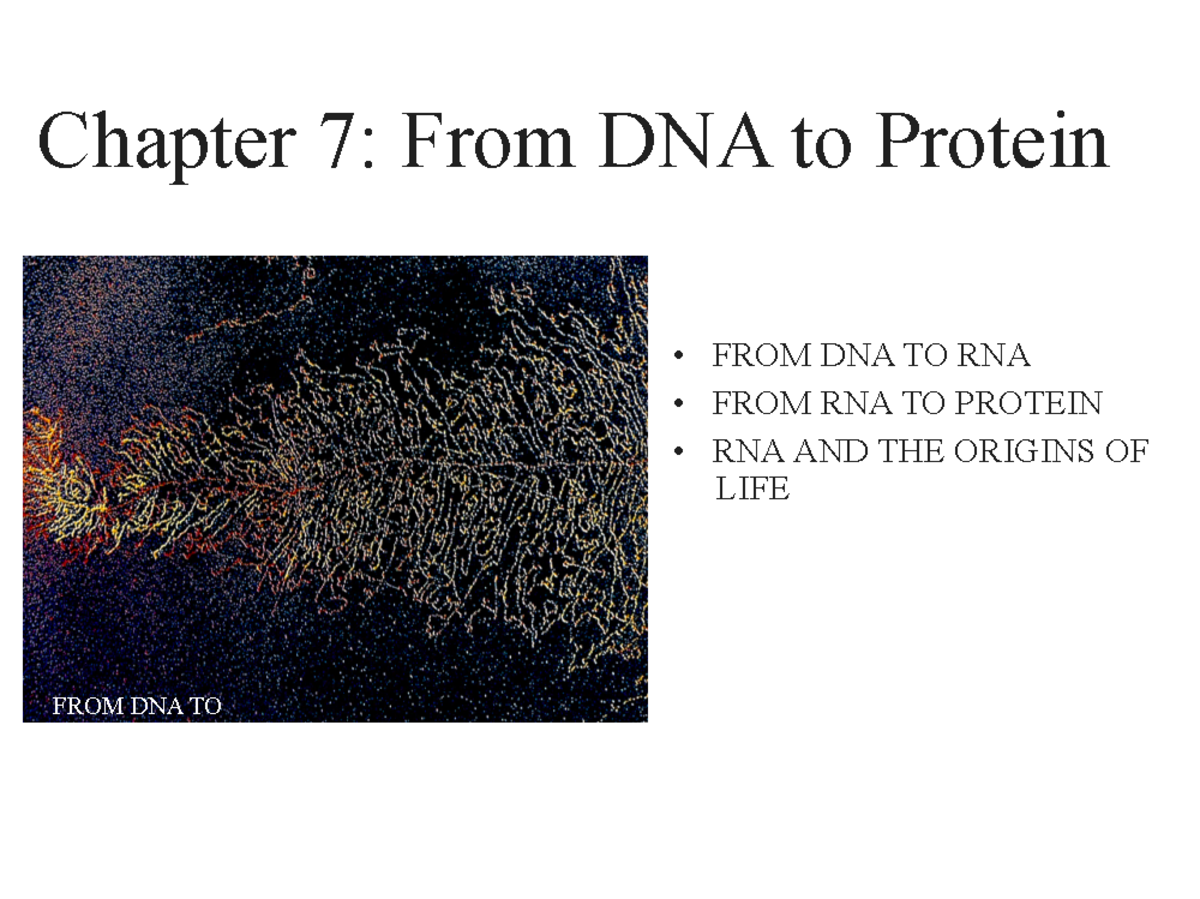 Ch 7 From DNA to Proteins - Chapter 7: From DNA to Protein FROM DNA TO ...