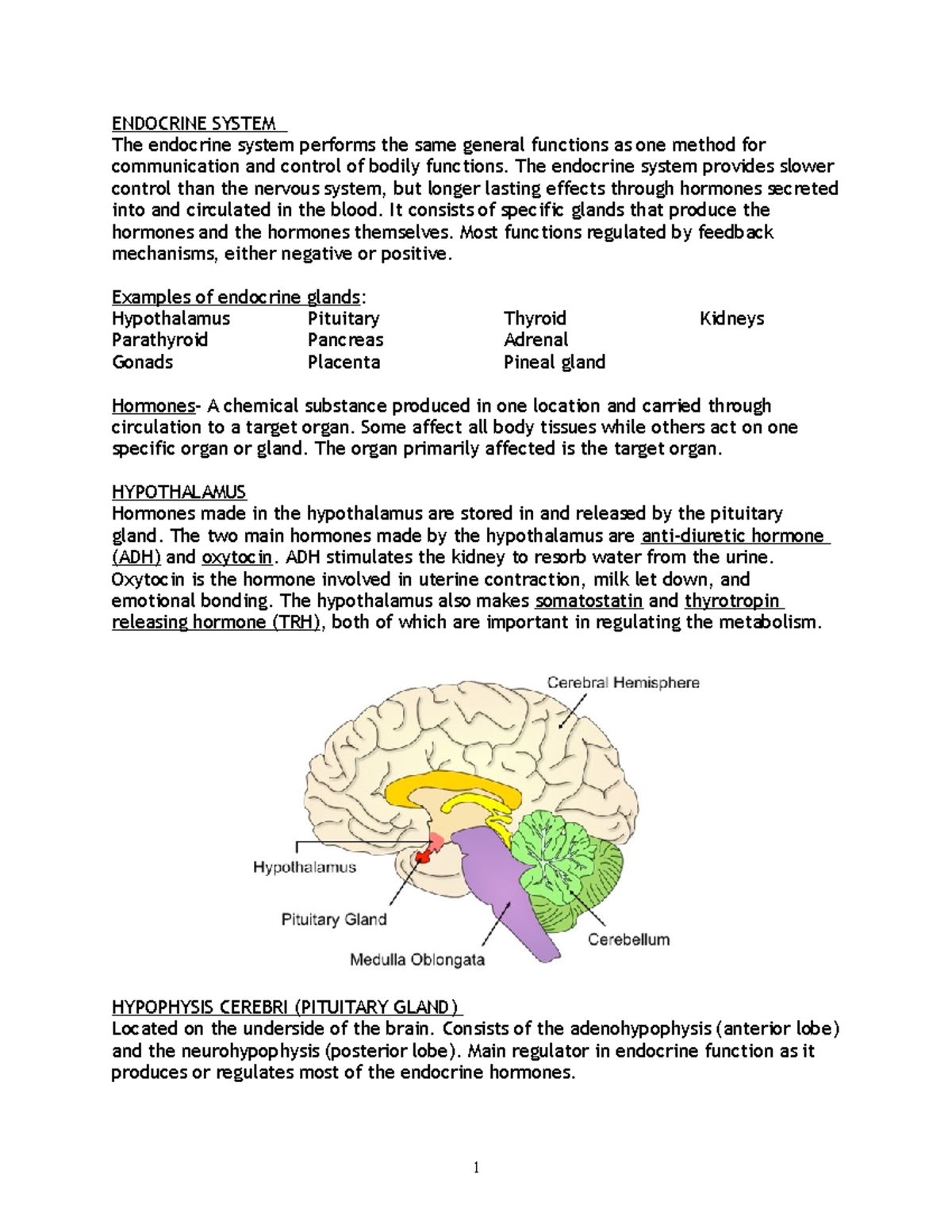 endocrine system thesis topics