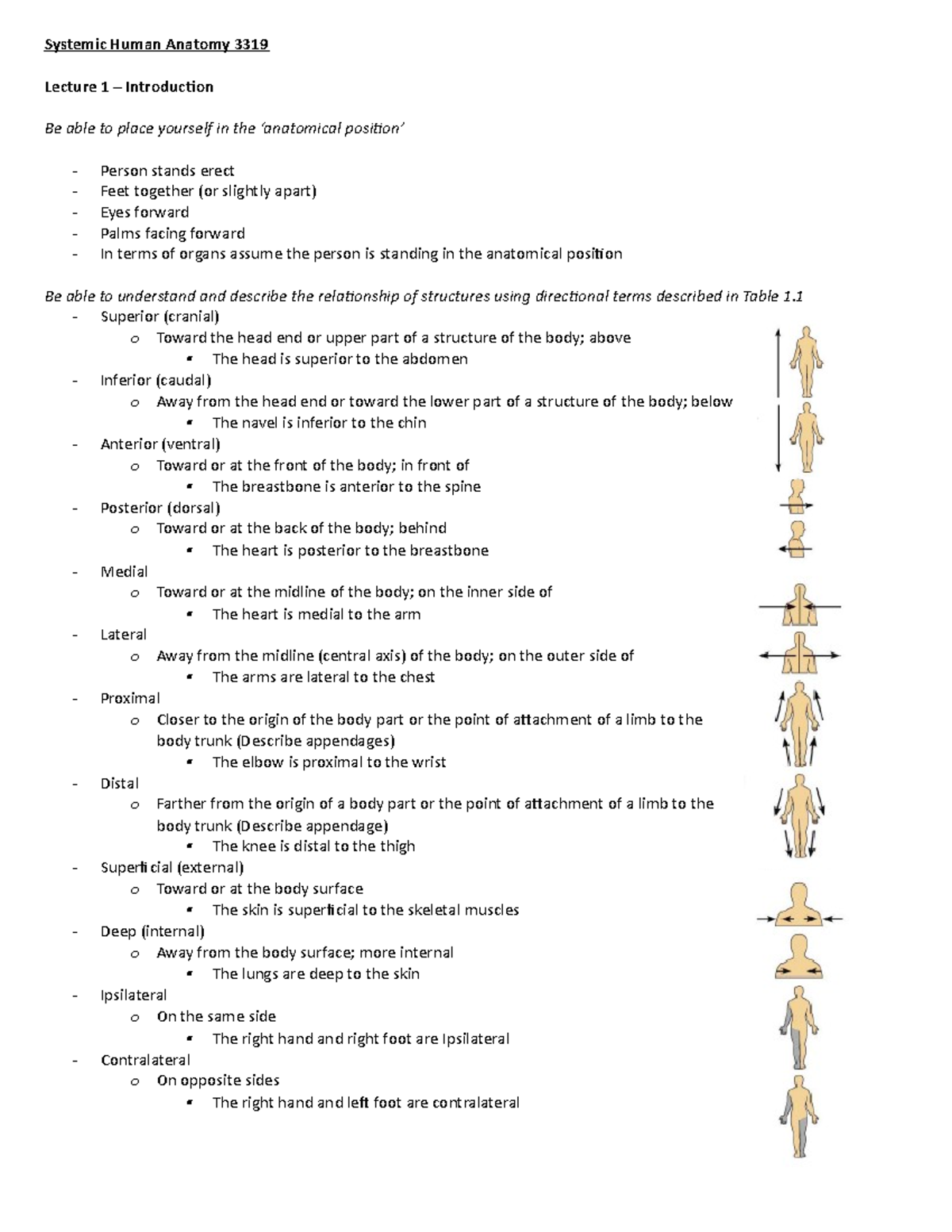 Anatomy 3319 Notes - Systemic Human Anatomy 3319 Lecture 1 ...