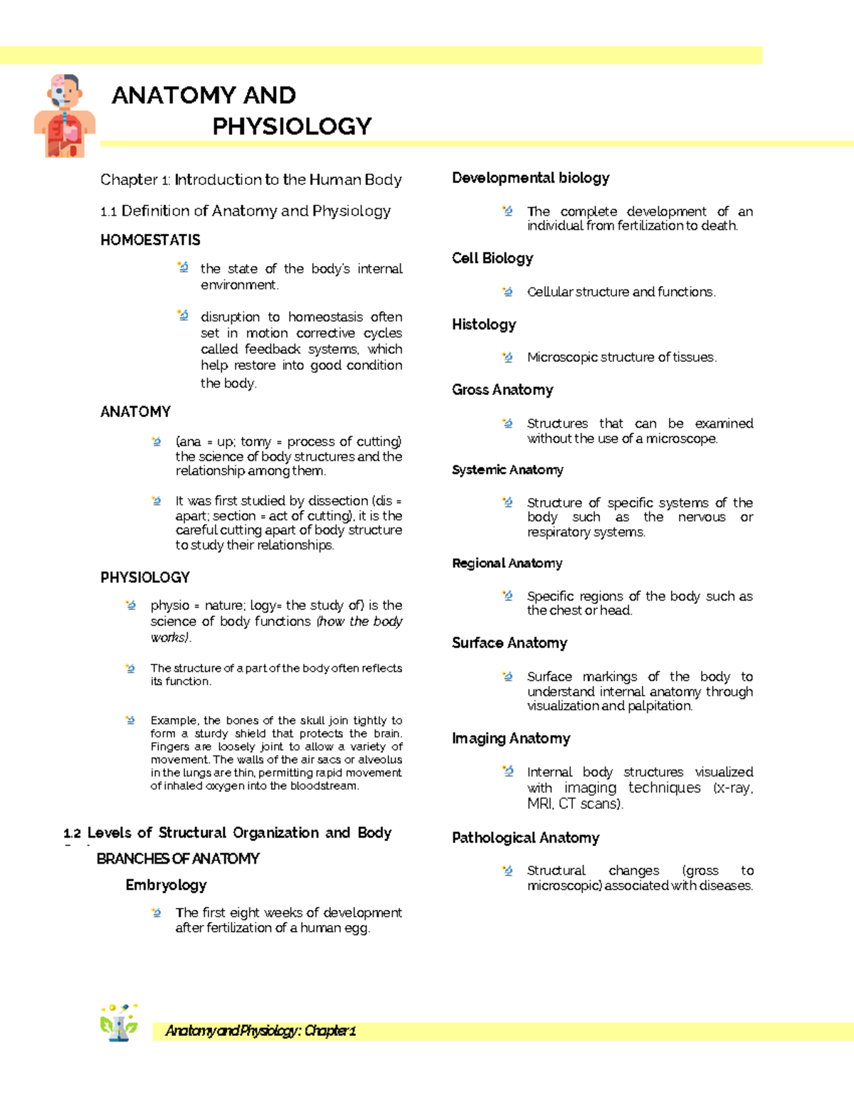 Introduction To Anaphy - ANATOMY AND PHYSIOLOGY Chapter 1: Introduction ...