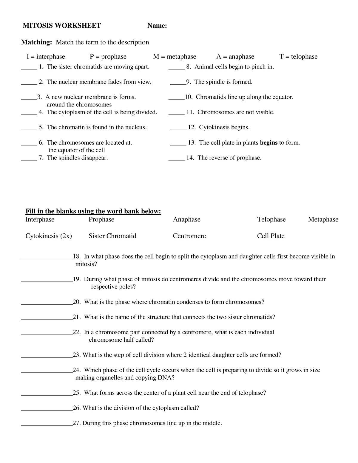 Phases of mitosis worksheet 3 - MITOSIS WORKSHEET Name: Matching: Match ...