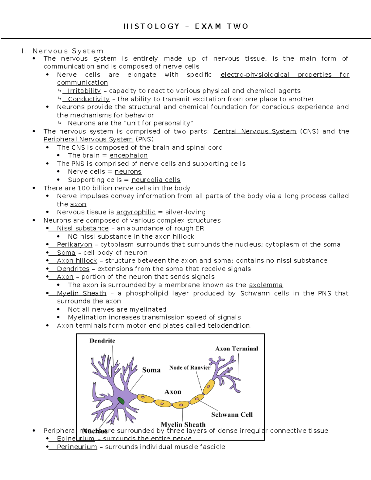 Histology Exam Two Study Guide - H I S T O L O G Y – E X A M T W O I ...