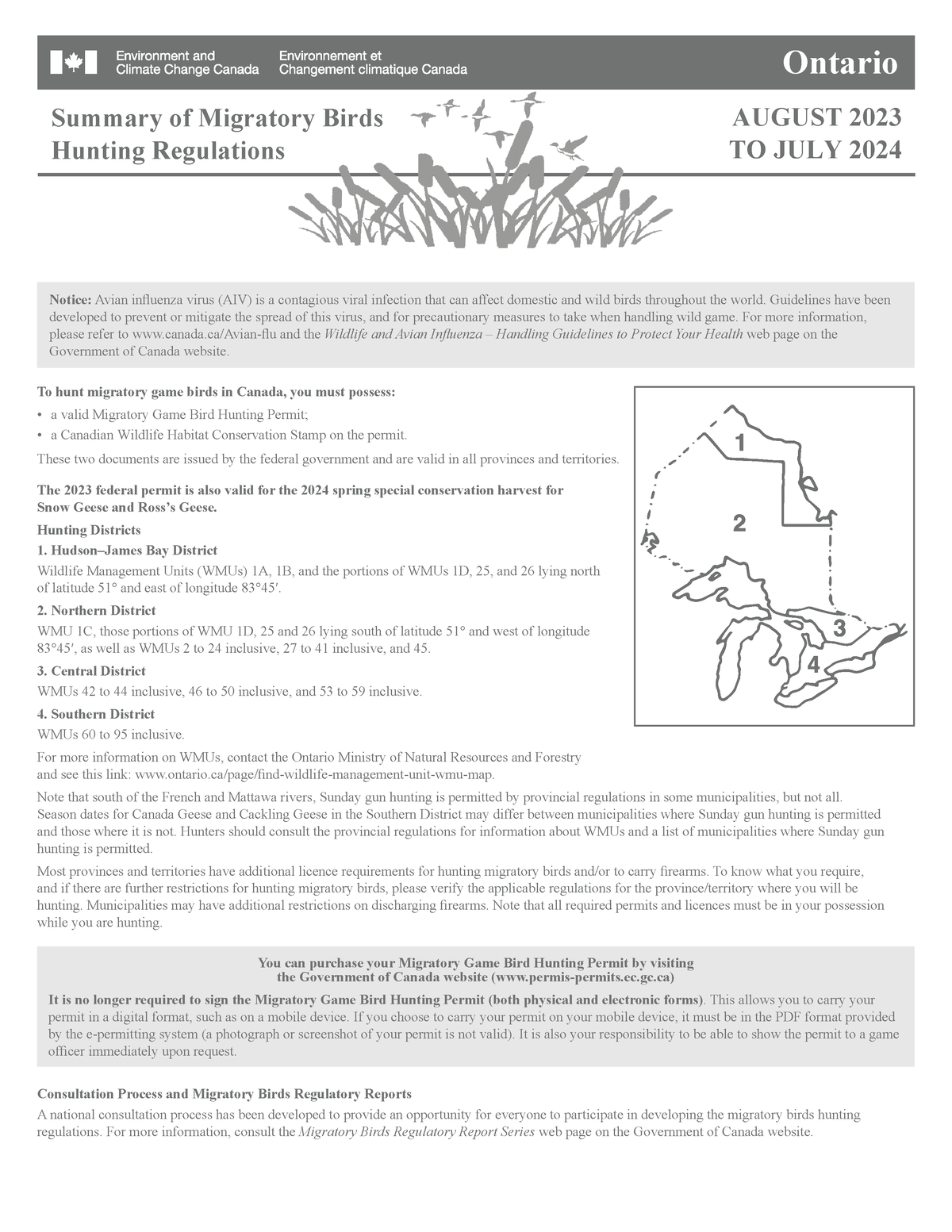 Summary of Migratory Birds Hunting Regulations Ontario, August 2023 to