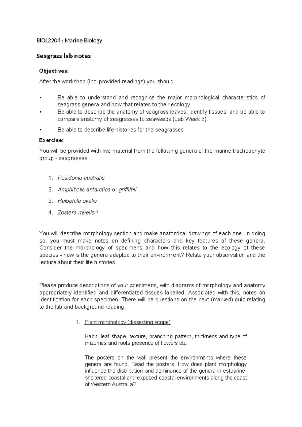 BIOL2204 Seagrass Lab Notes 2024 - BIOL2204 : Marine Biology Seagrass ...