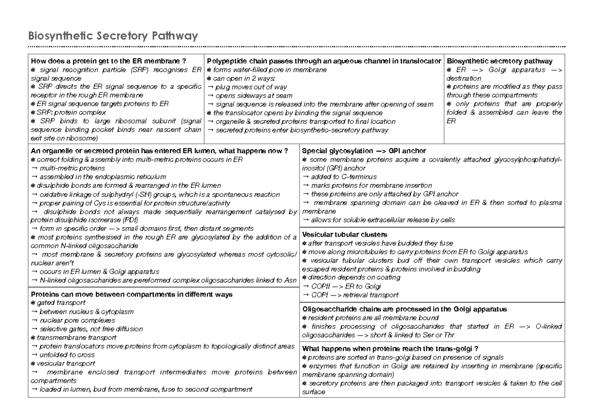 lecture-17-biosynthetic-secretory-pathway-biosynthetic-secretory