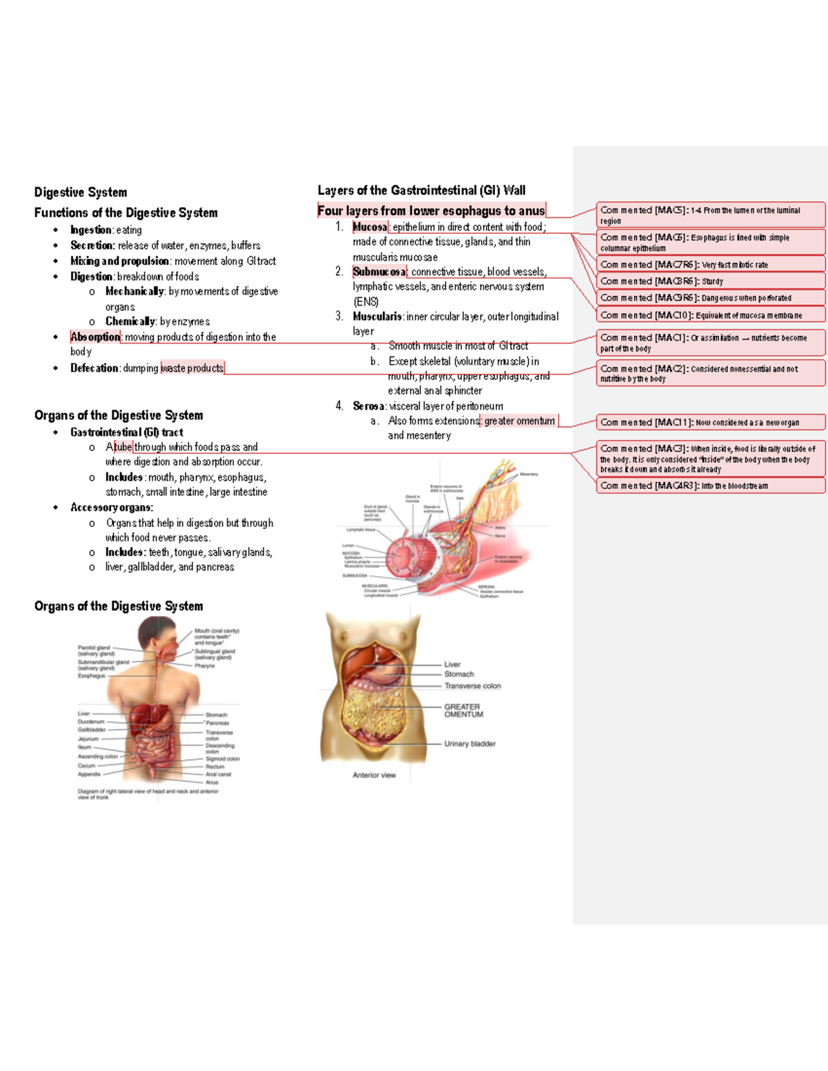 Overview of the Digestive System - Human Anatomy and Physiology - La ...