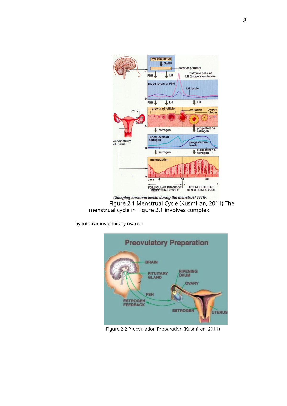 management-risk-23-task-8-figure-2-menstrual-cycle-kusmiran-2011