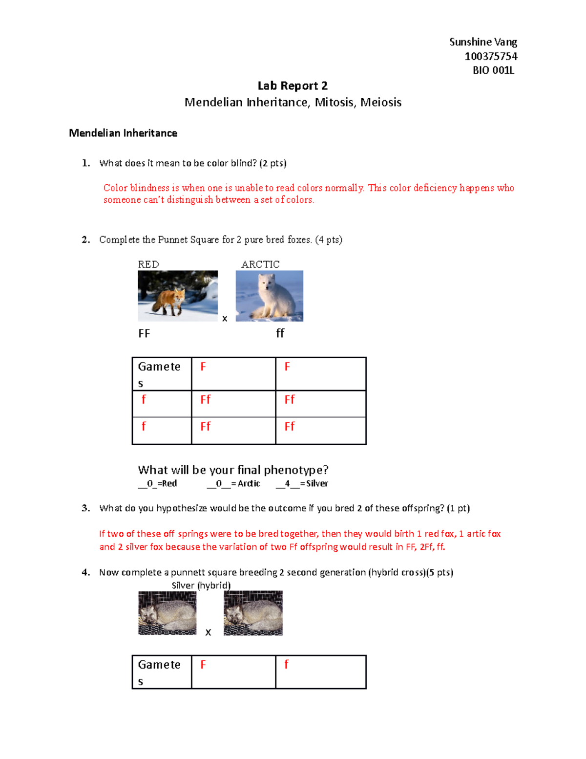 Bio 1L Lab Report 2 F20 - Mendelian Inheritance, Mitosis, Meiosis ...