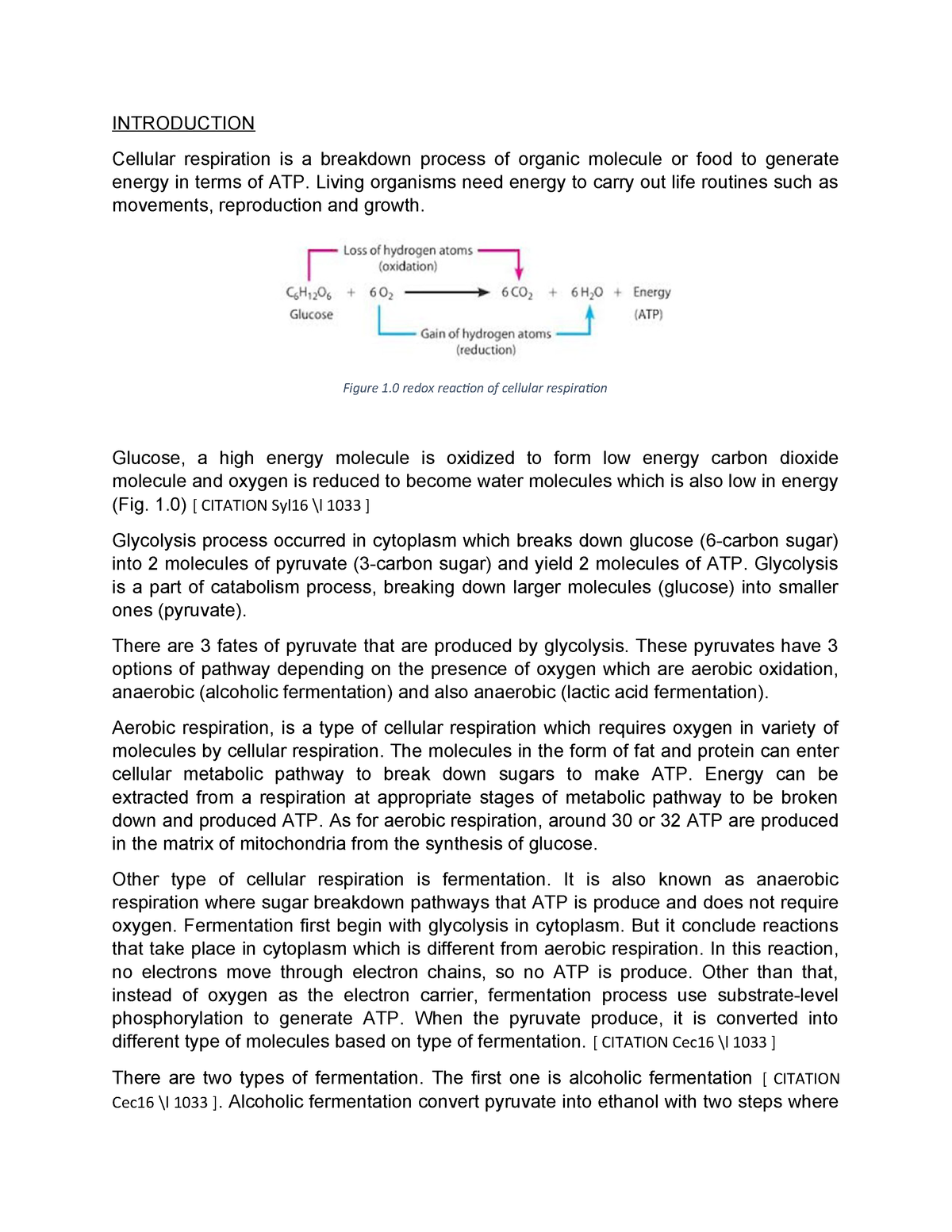 Cellular Respiration Applied Sciences Studocu