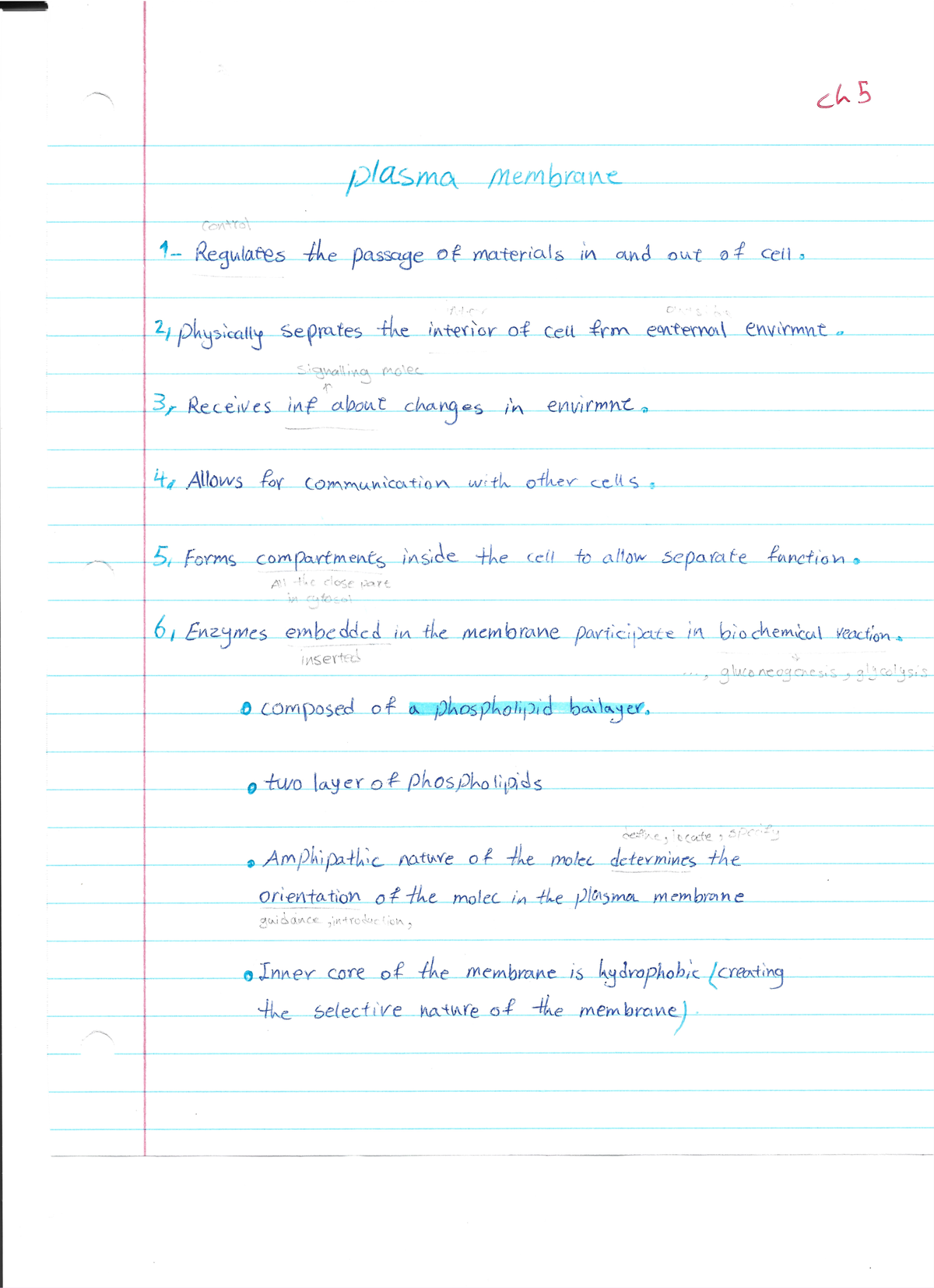 Biology 1 Chapter 5 Part A - BSC 2010C - FSCJ - Studocu