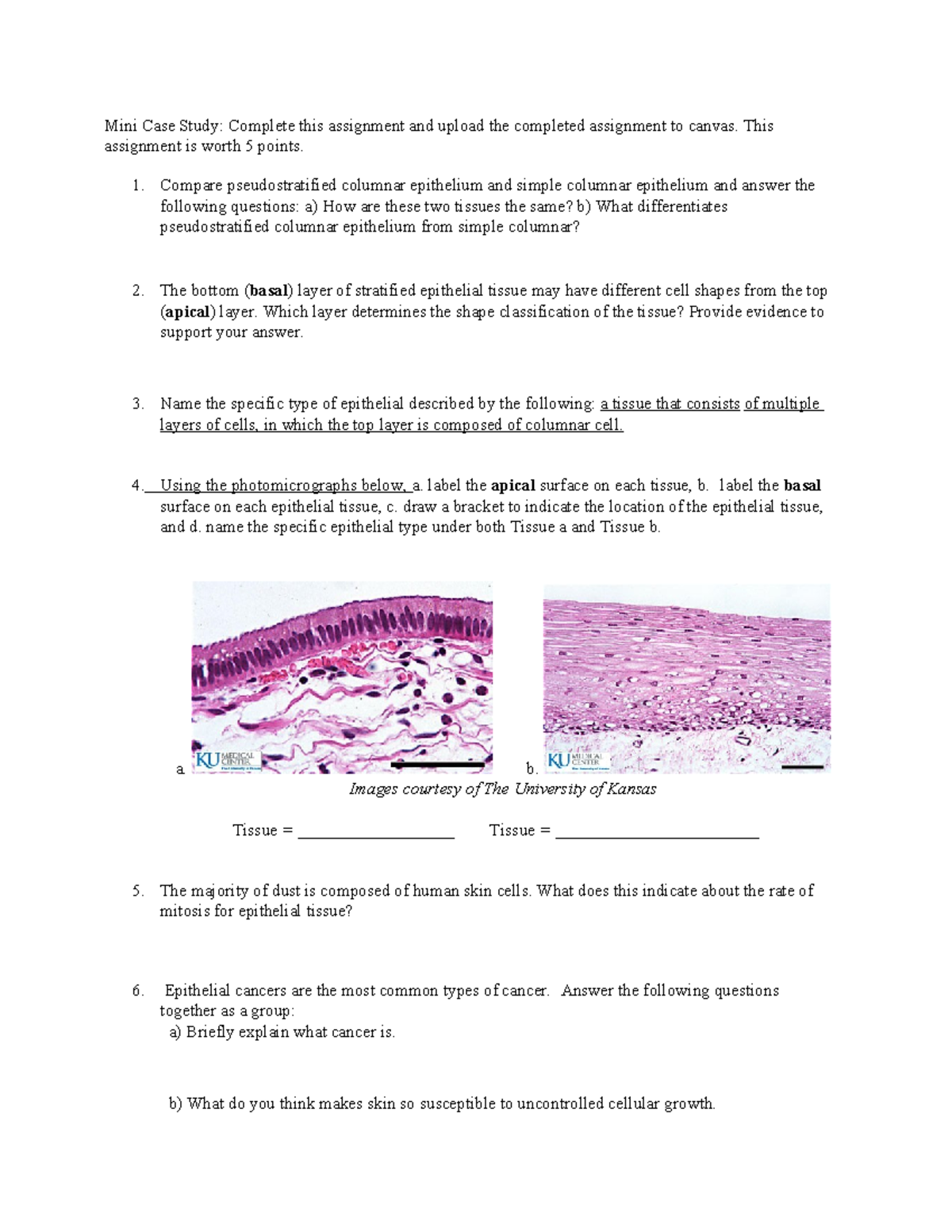 NRSG 201 Lab 2 Case Study-1 - Mini Case Study: Complete this assignment ...