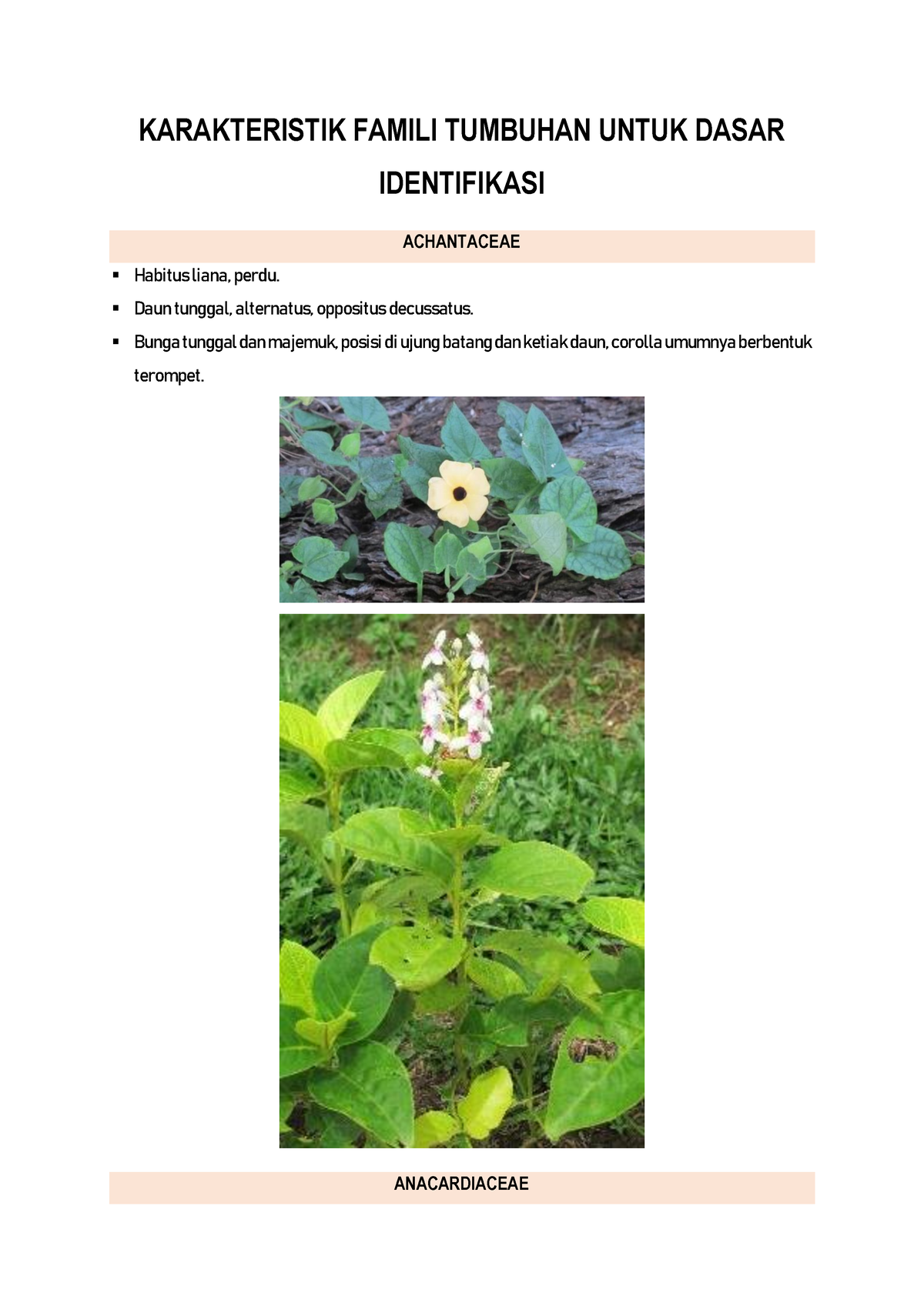 Karakteristik Famili Tumbuhan Untuk Dasar Identifikasi - KARAKTERISTIK ...