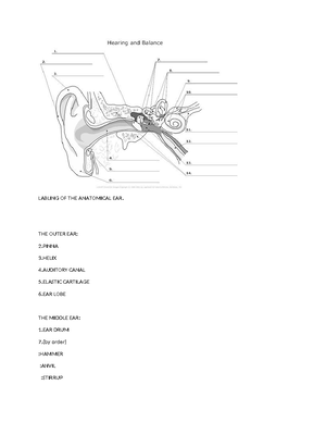 [Solved] Analyse the artwork Bester 1 2015 from the photographic series ...