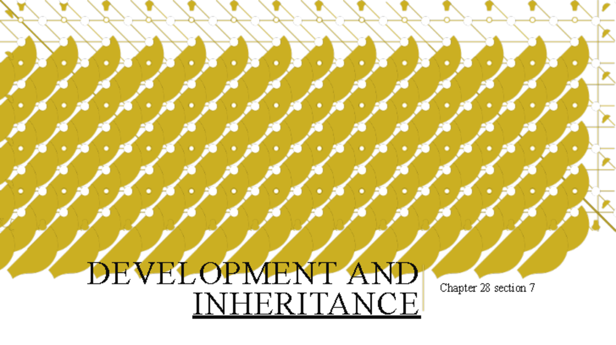 Ch28 7 inheritance-SP20 - DEVELOPMENT AND INHERITANCE Chapter 28 ...