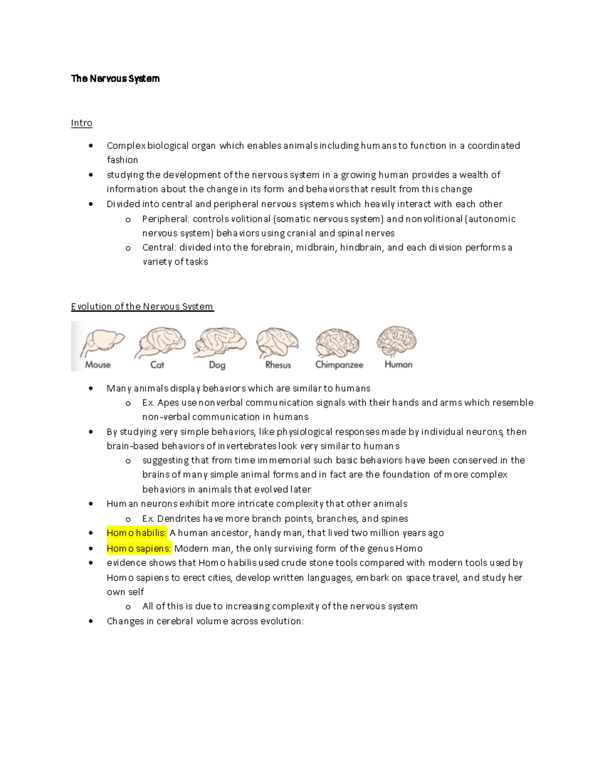 Week 6 Reading 1 - The Nervous System - The Nervous Syst Em Intro ...