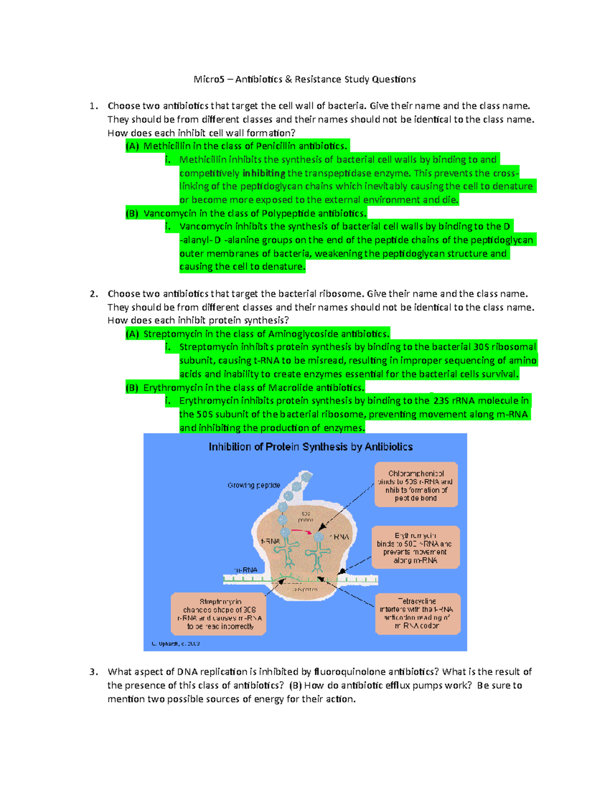 Antibiotics & Resistance Study Questions Micro5 Antibiotics
