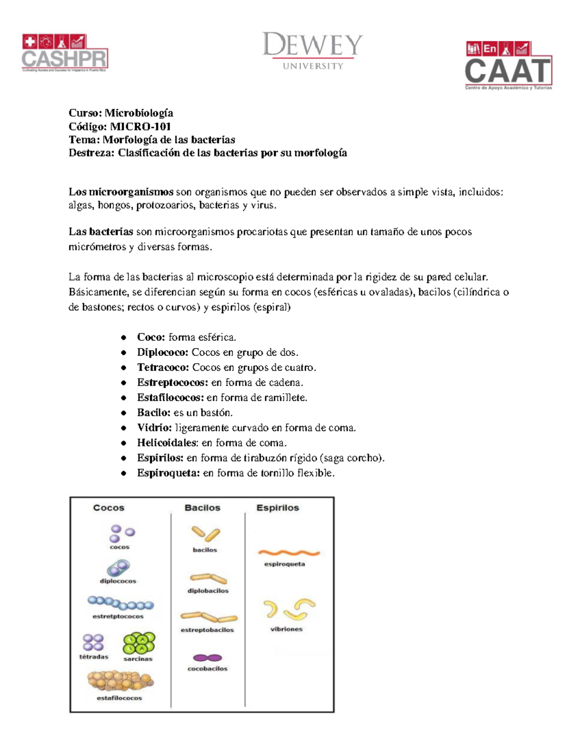 Clasificación De Las Bacterias Por Su Morfología Curso Microbiología Código Micro Tema 1180