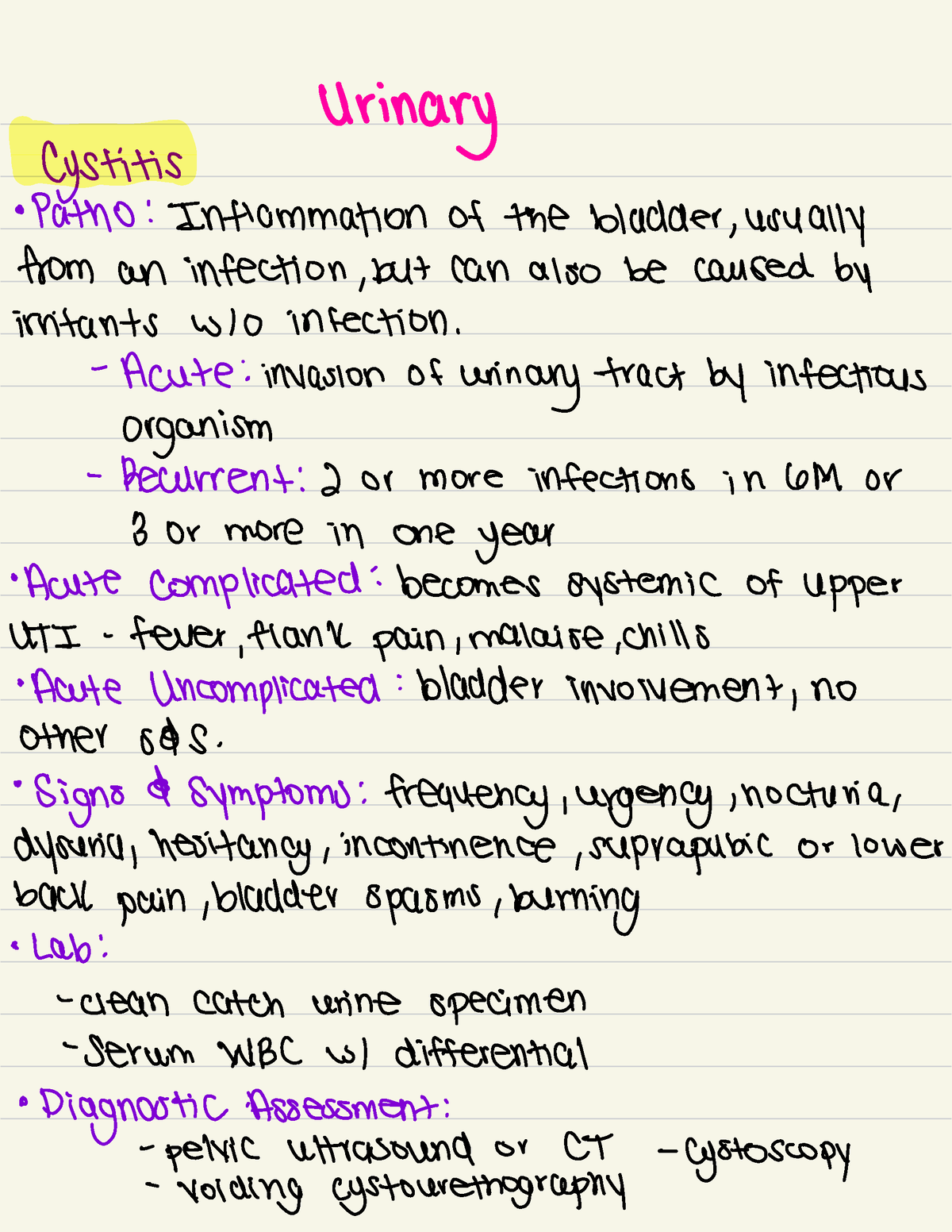 UrinaryNotes - Medsurg - Urinary cystitis Path 0 : Inflammation of the ...