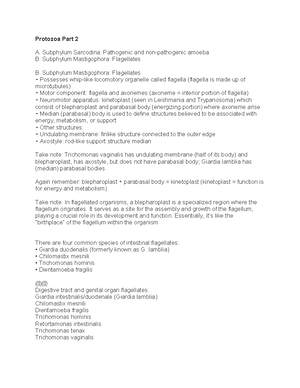 Excel Charting Process - Excel Fundamentals THE CHARTING PROCESS ...