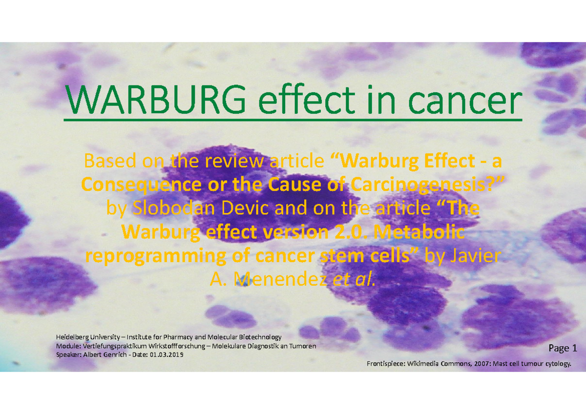 Warburg effect in cancer WARBURG effect in cancer Heidelberg