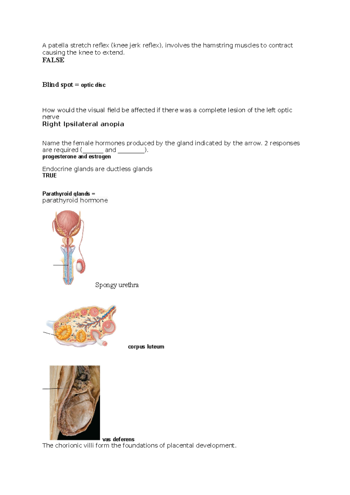 LAB EXAM 2 Notes - A patella stretch reflex (knee jerk reflex ...