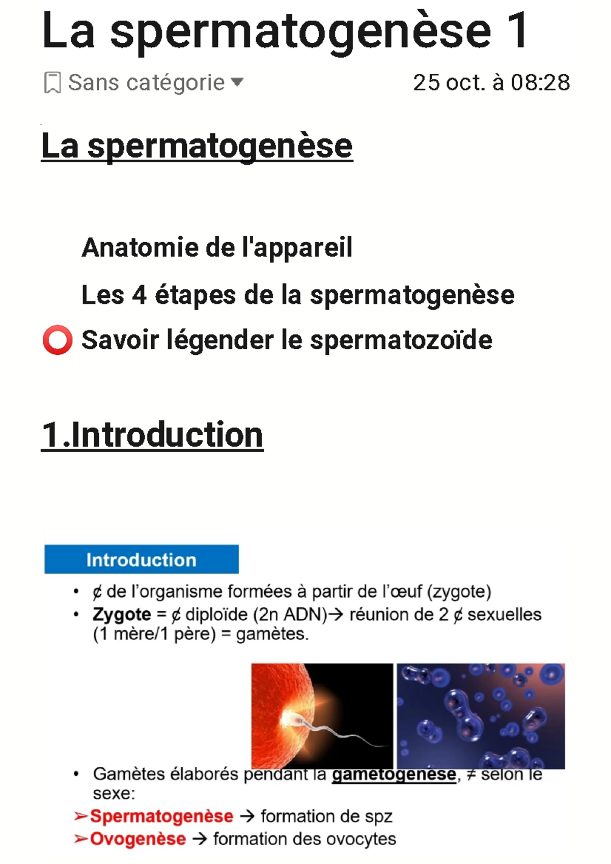 Spermatogenèse 1 - La spermatogenèse 1 Sans catࣱgorie 25 oct. à 08: La ...