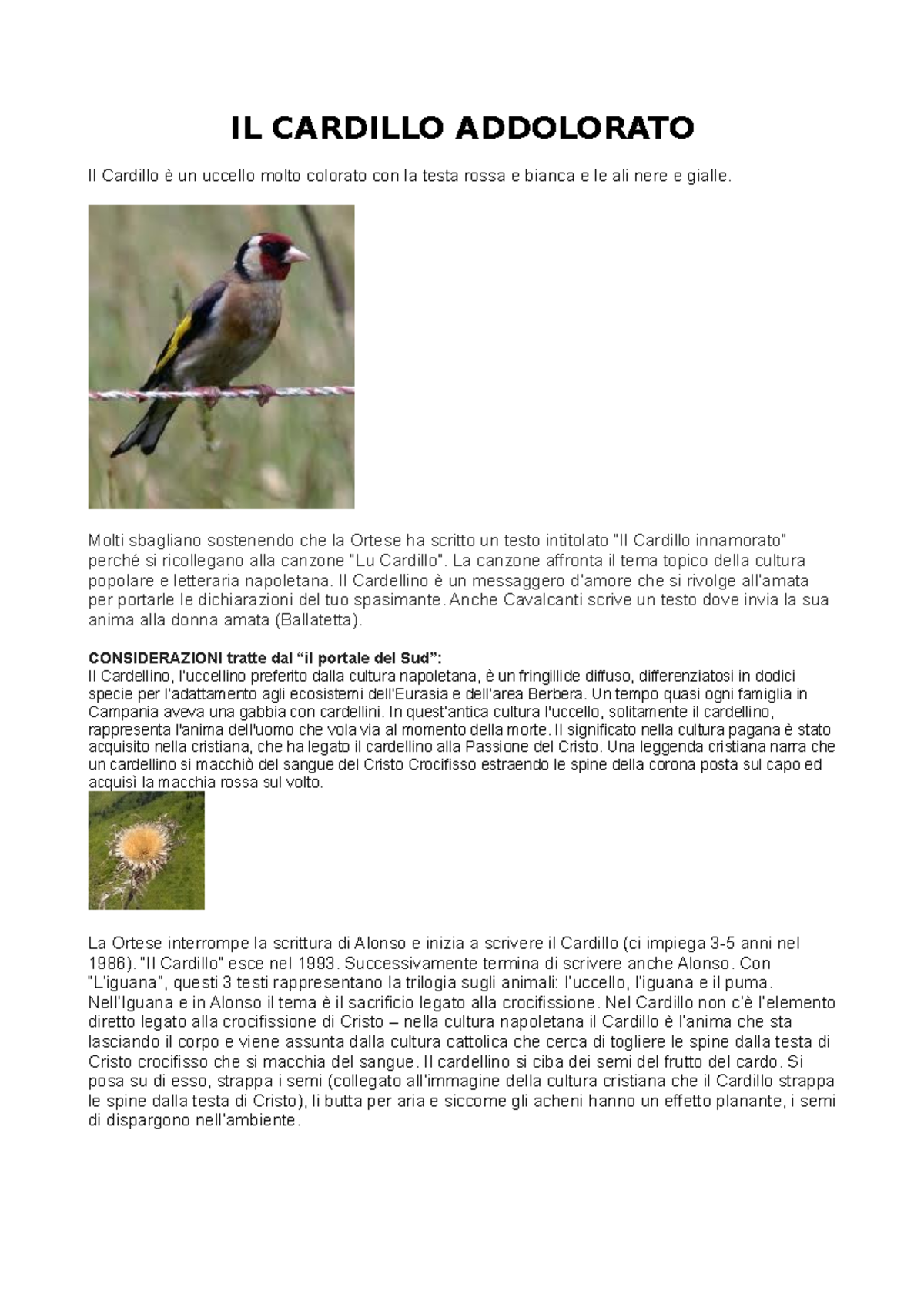 Riassunto il cardillo addolorato - IL CARDILLO ADDOLORATO Il Cardillo è ...