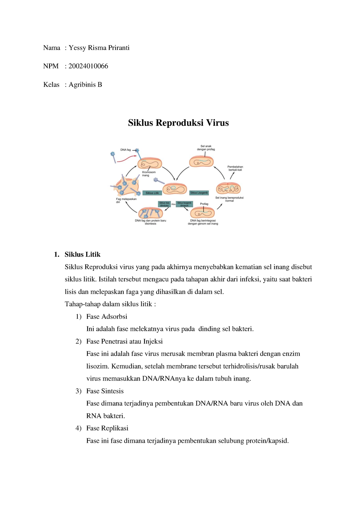 2002 4010066 Yessy Risma Priranti Siklus Reproduksi Virus - Nama ...