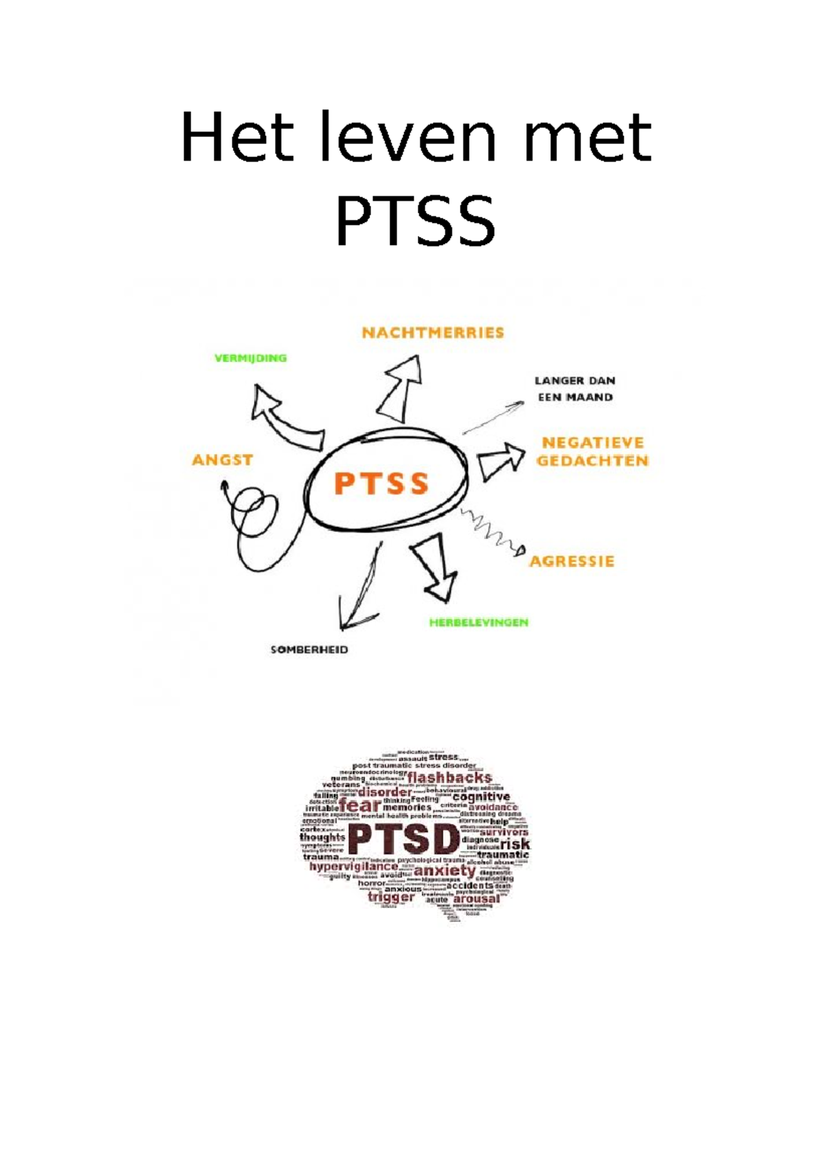 Verslag Ptss Profielwerkstuk - Het Leven Met PTSS INHOUD 1. De ...