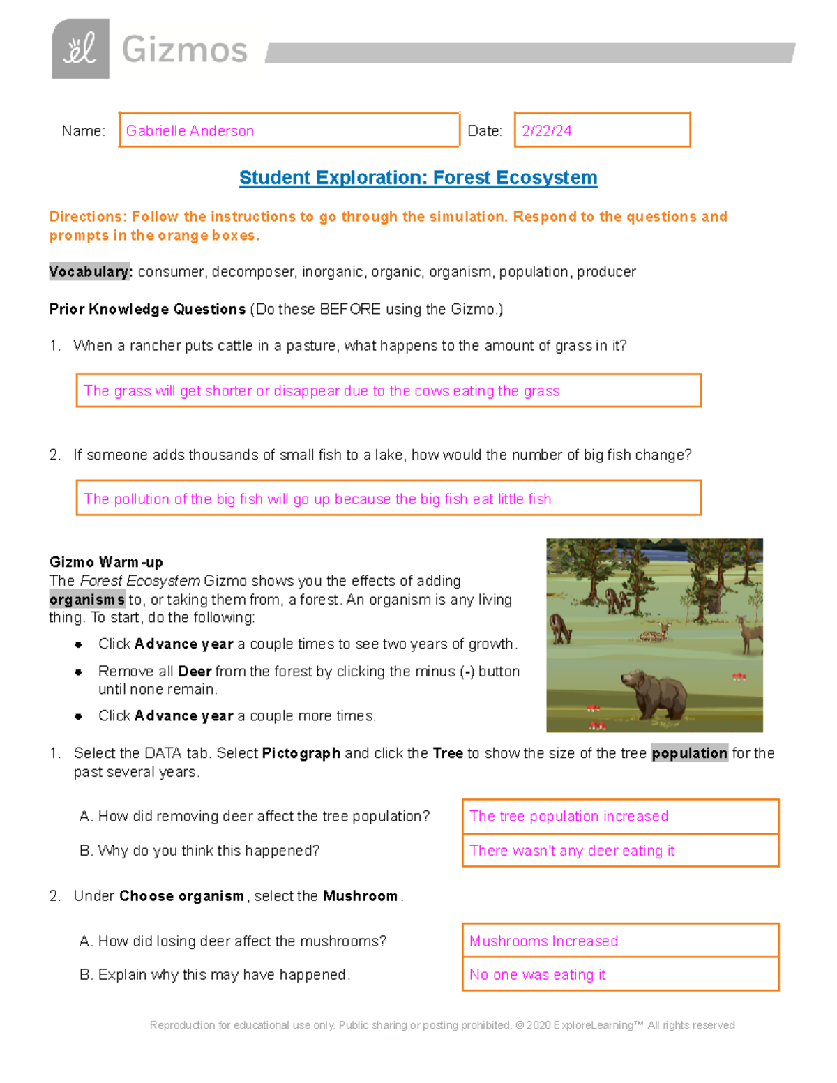 Forest Ecosystem SE - asssignments - Name: Gabrielle Anderson Date: 2 ...