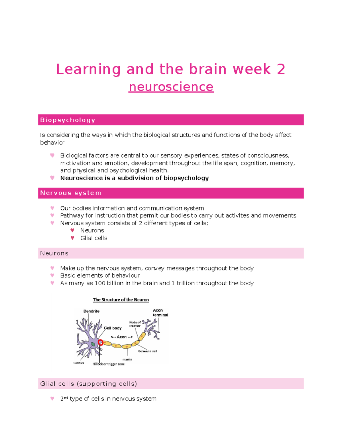 Neuroscience - Learning And The Brain - Learning And The Brain Week 2 ...