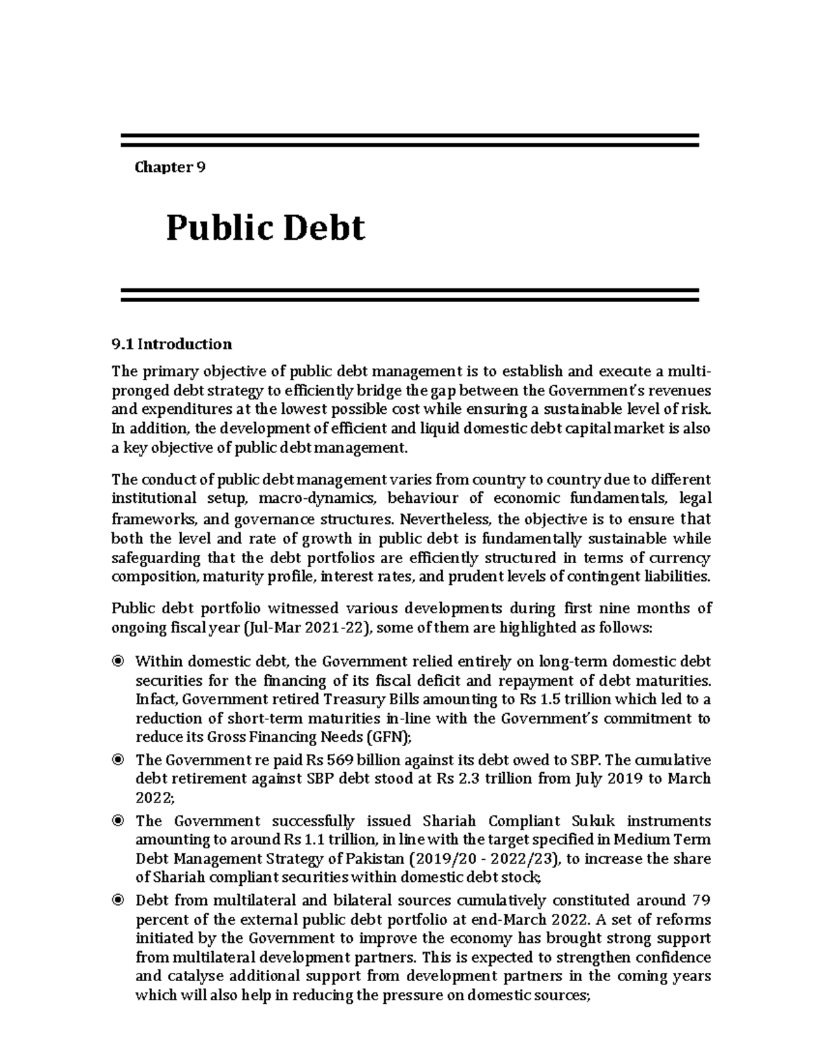 public debt essay