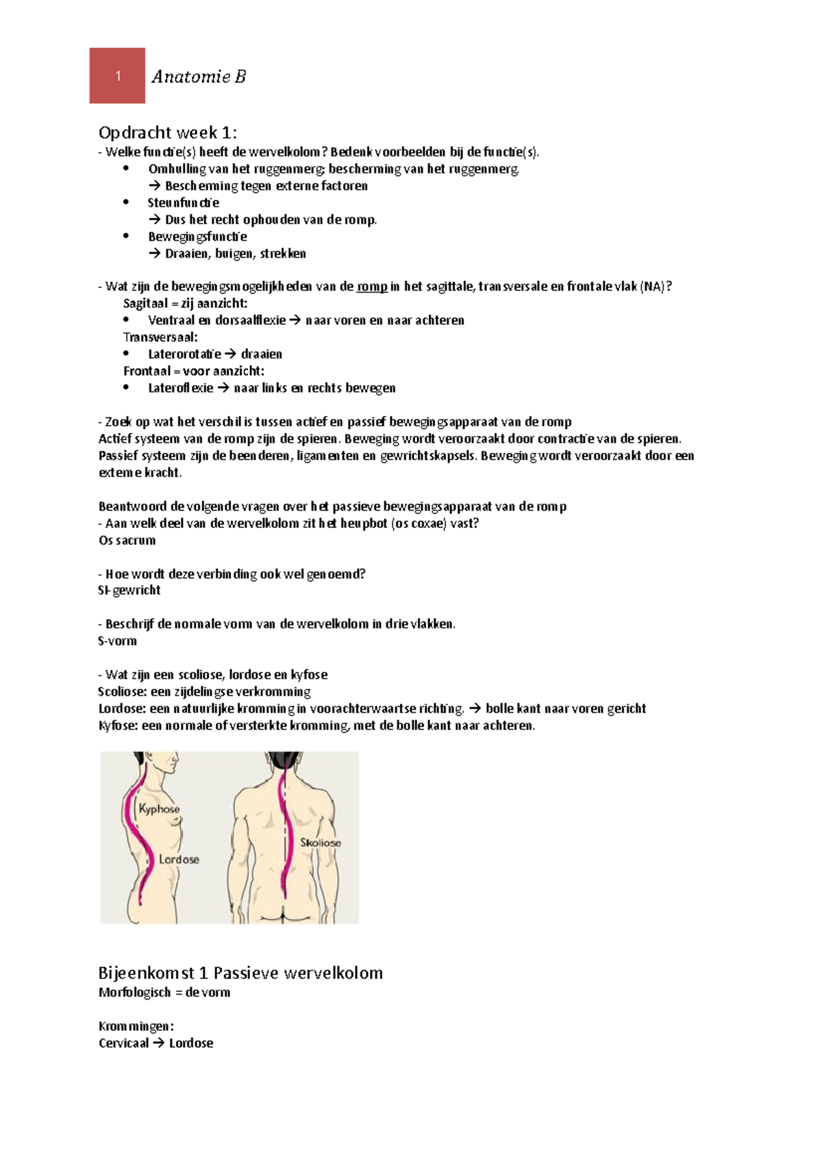 Anatomie B Samenvatting - 1 Anatomie B Opdracht Week 1: Welke Functie(s ...