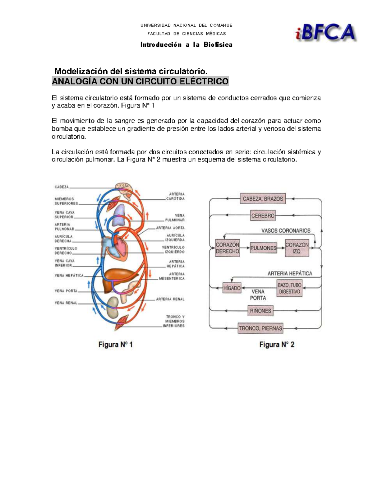Modelizacion del sistema circulatorio - UNIVERSIDAD NACIONAL DEL ...