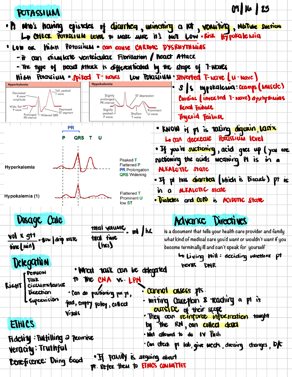 Tutoring - Notes - is a document that tells your health care provider ...