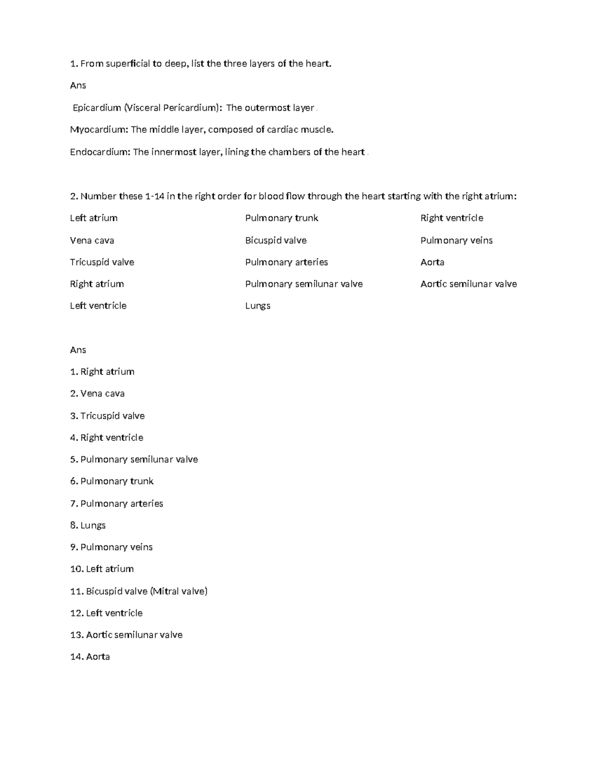 Heart worksheet 1 spring - From superficial to deep, list the three ...