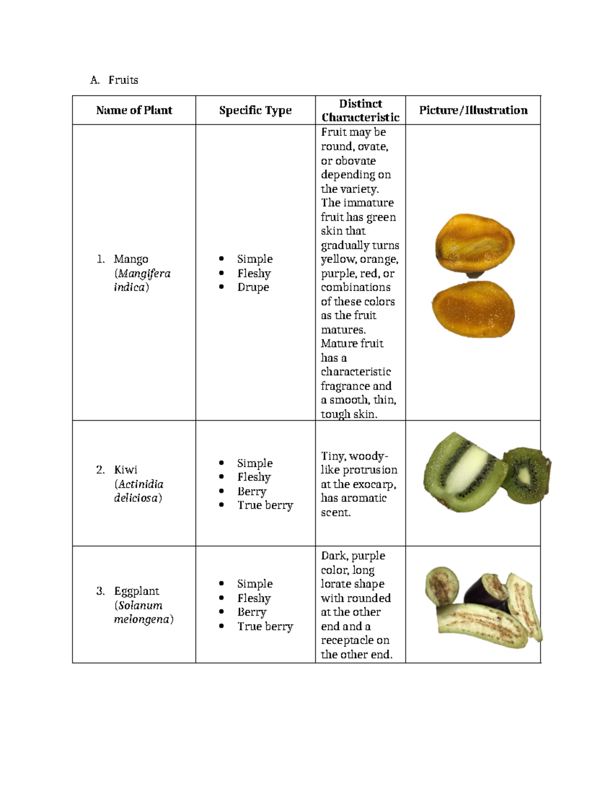 Fruits classification - A. Fruits Name of Plant Specific Type Distinct ...