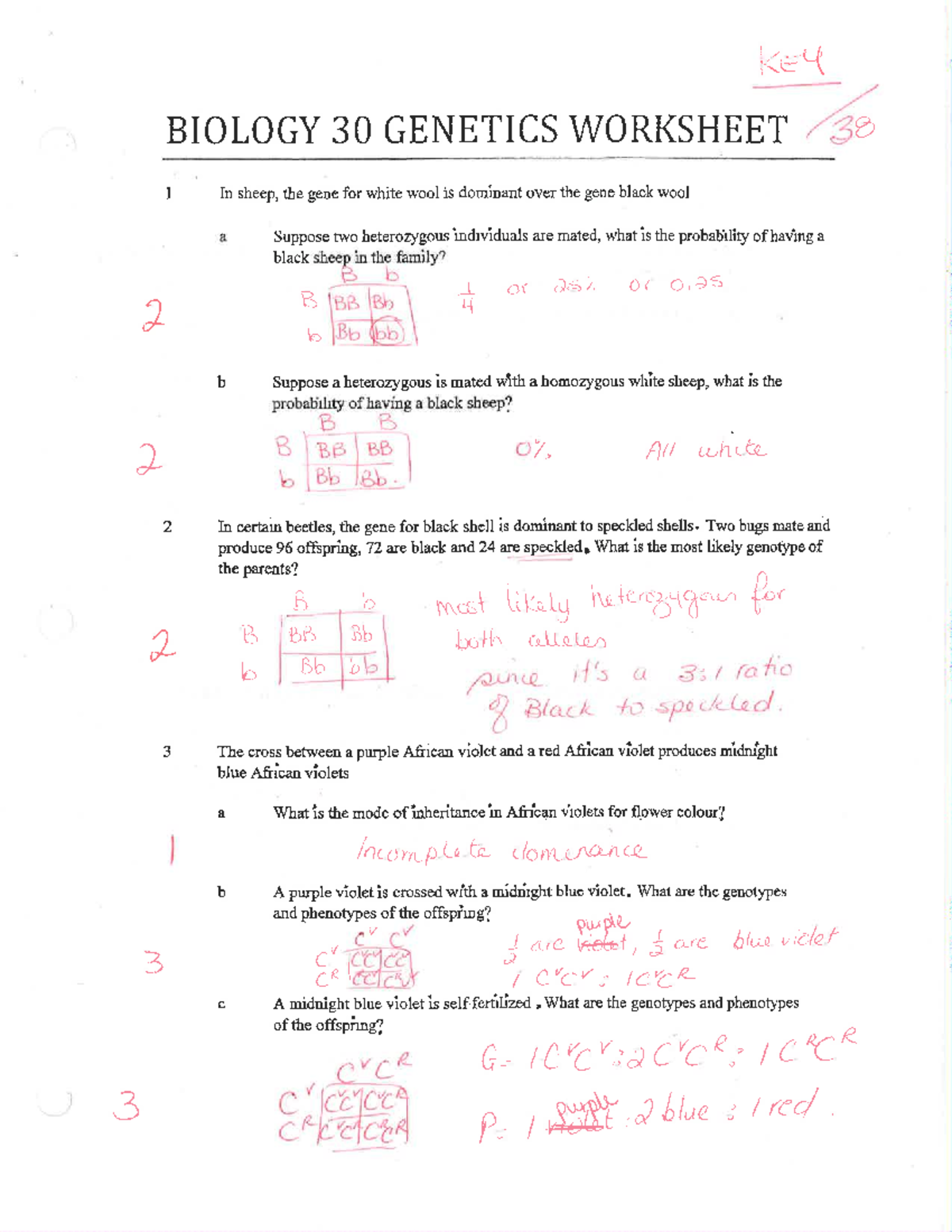 Genetic compreh. 1 key - biology 30 notes - Studocu