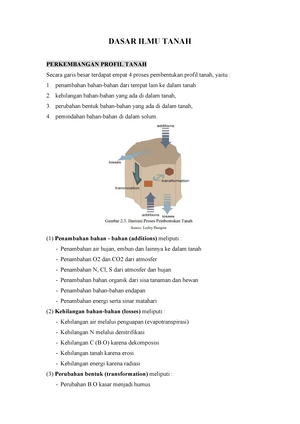 Klasifikasi Benih Tanaman Kentang - KLASIFIKASI BENIH TANAMAN KENTANG A ...