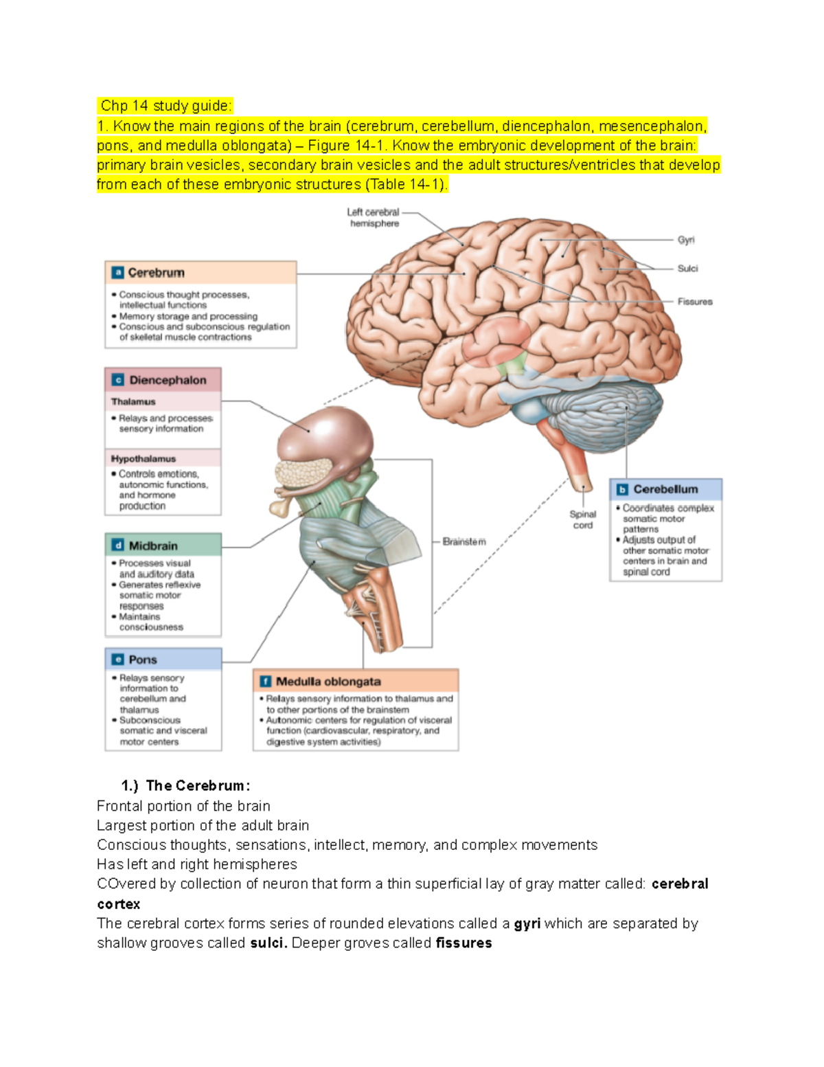 Chp 14 Study Review - Chp 14 Study Guide: Know The Main Regions Of The 