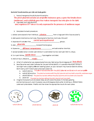 Organic molecules worksheet - Studocu