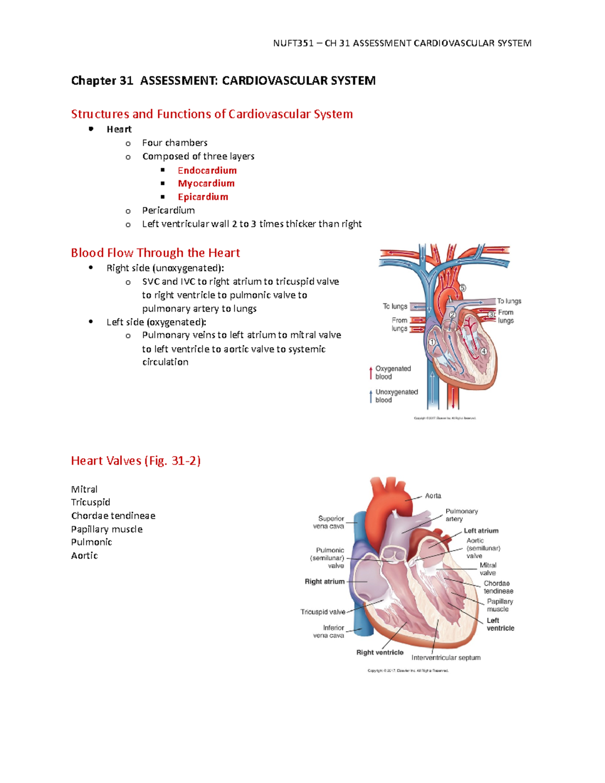 Chapter 31 Assessment - Chapter 31 Assessment: Cardiovascular System 