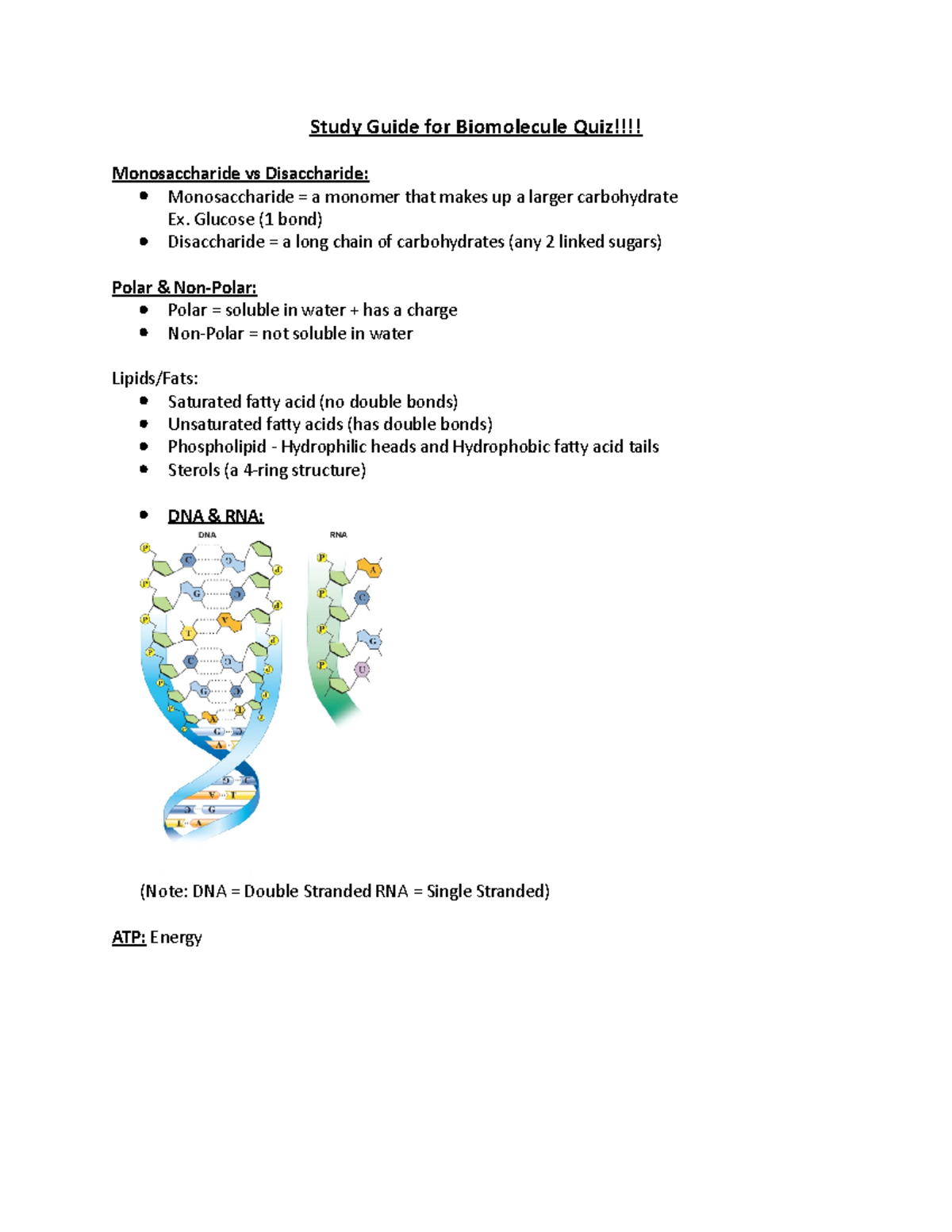 Study Guide for Biomolecule Quiz Study Guide for Biomolecule Quiz