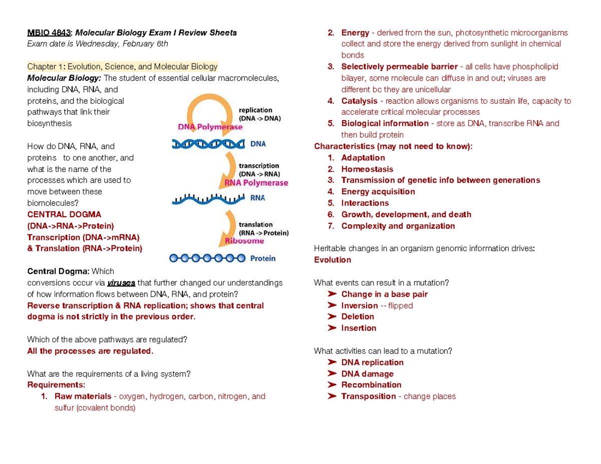 Molecular Biology - Lecture Notes 1-5 - MBIO 4843 : Molecular Biology ...