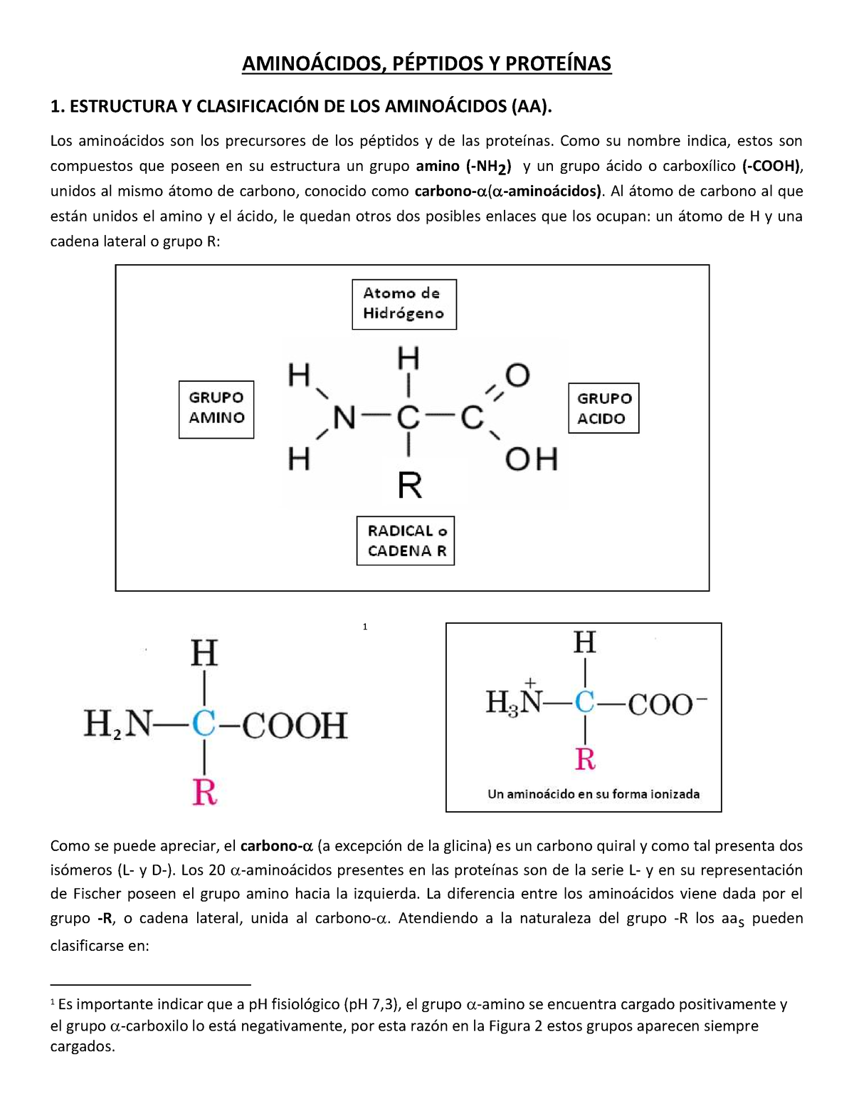 2 Presentacion De Aminoácidos Y Peptidos AminoÁcidos PÉptidos Y ProteÍnas 1 Estructura Y 0642
