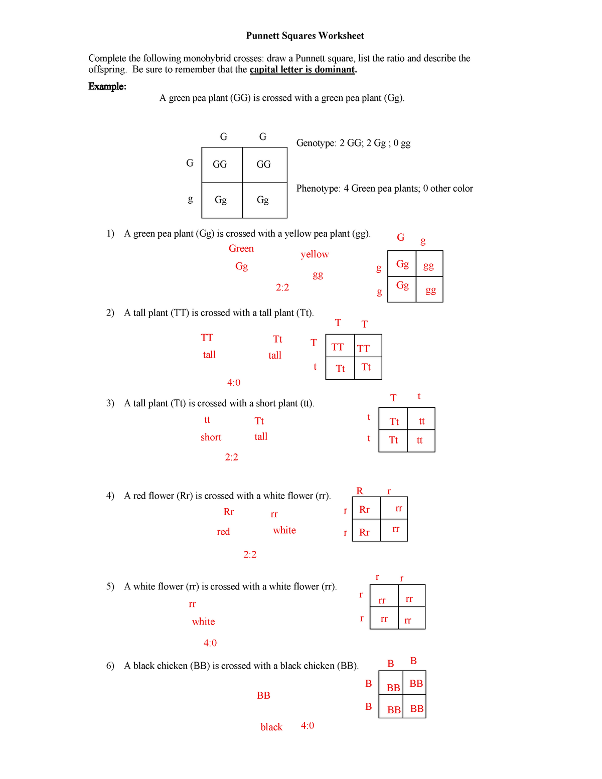 Monohybrid Cross Problems gizmo jqwpdqwk - DEV BIO 20B - Cell Inside Monohybrid Cross Practice Problems Worksheet