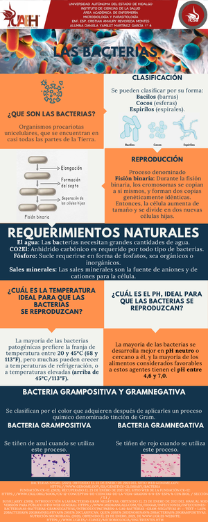 Infografia Bacterias Microbiologia 12 El Agua La Ba Cterias Necesitan Grandes Cantidades De Agua Co2el Anhidrido Carb Nico Es Requerido Por Todo Tipo De Studocu