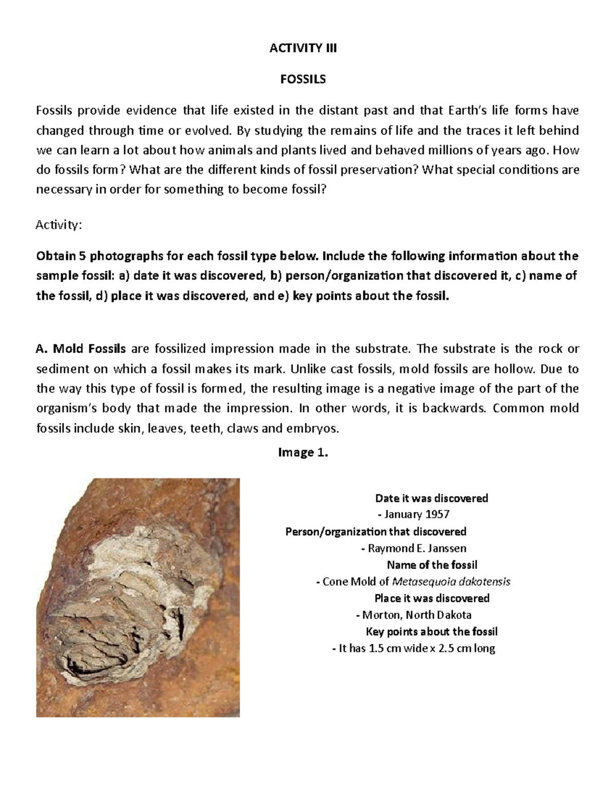 Activity III. Fossils ACTIVITY III FOSSILS Fossils provide evidence