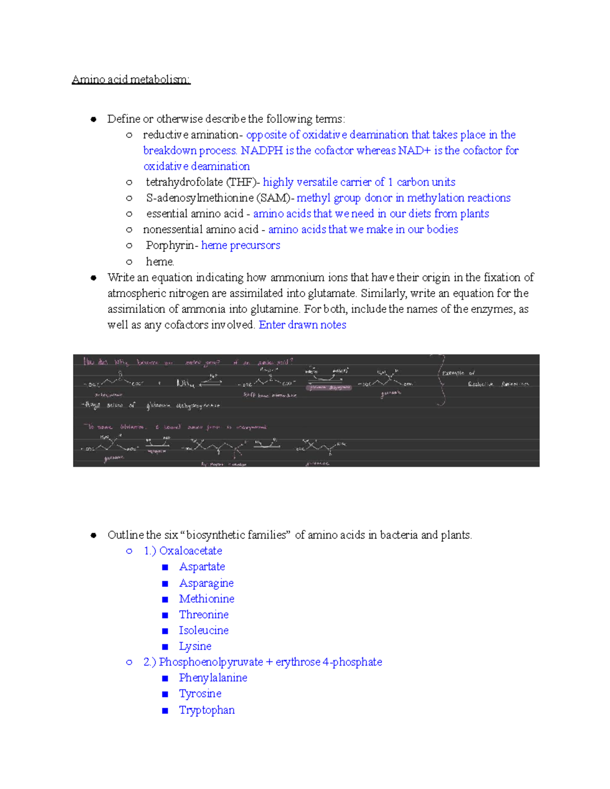 Amino Acid Metabolism Biochemistry Questions And Notes - Amino Acid ...